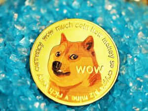 How To Sell Shiba Inu Coin - Prestmit